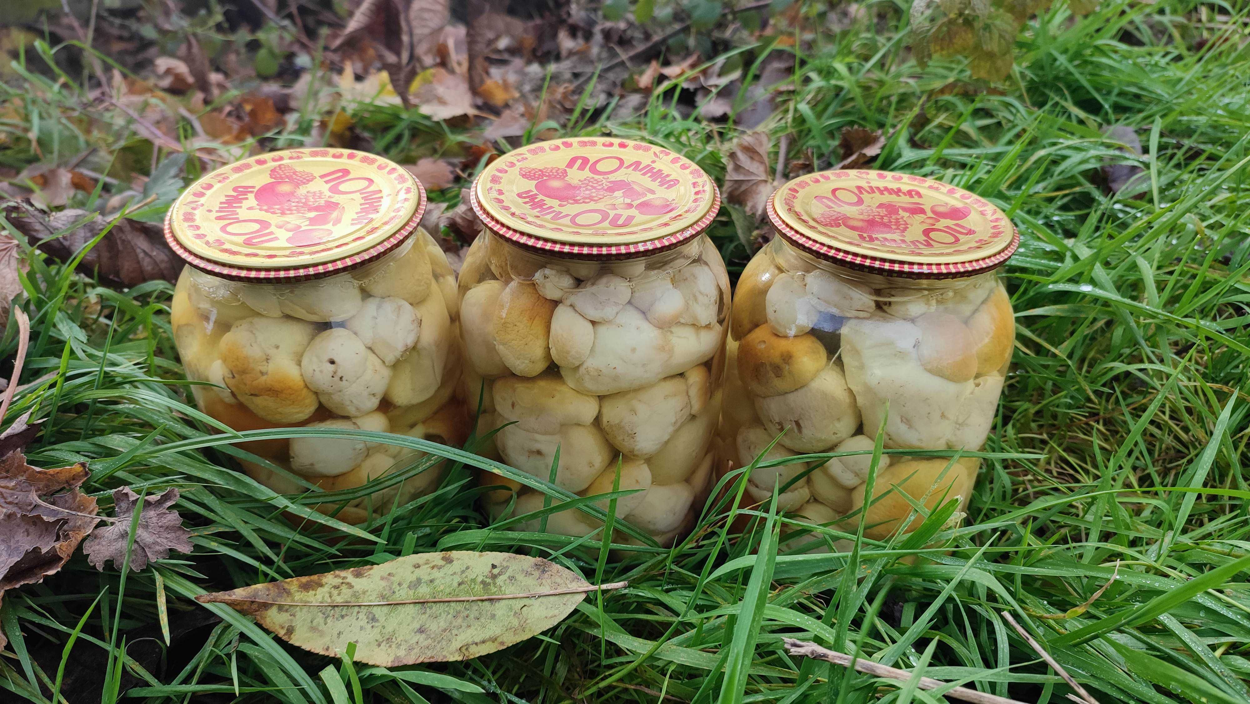 Білі мариновані молоді гриби закарпатські! сушені білі гриб, опенькиі!