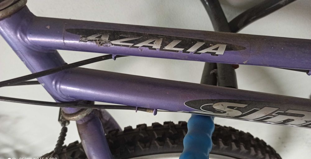 Bicicleta quadro baixo