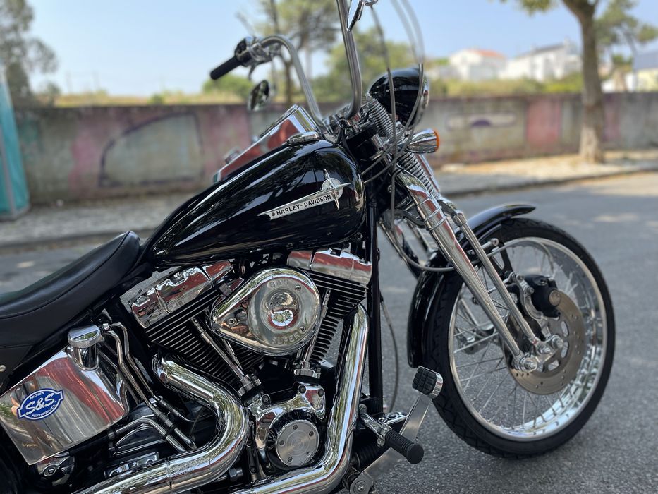Harley softail springer
