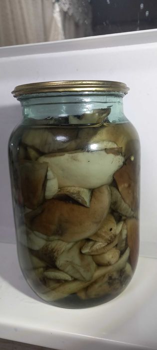 Продам мариновані гриби: маремушки, підосичники 2025року.