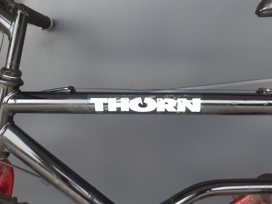 Rower THORN Poland mtb