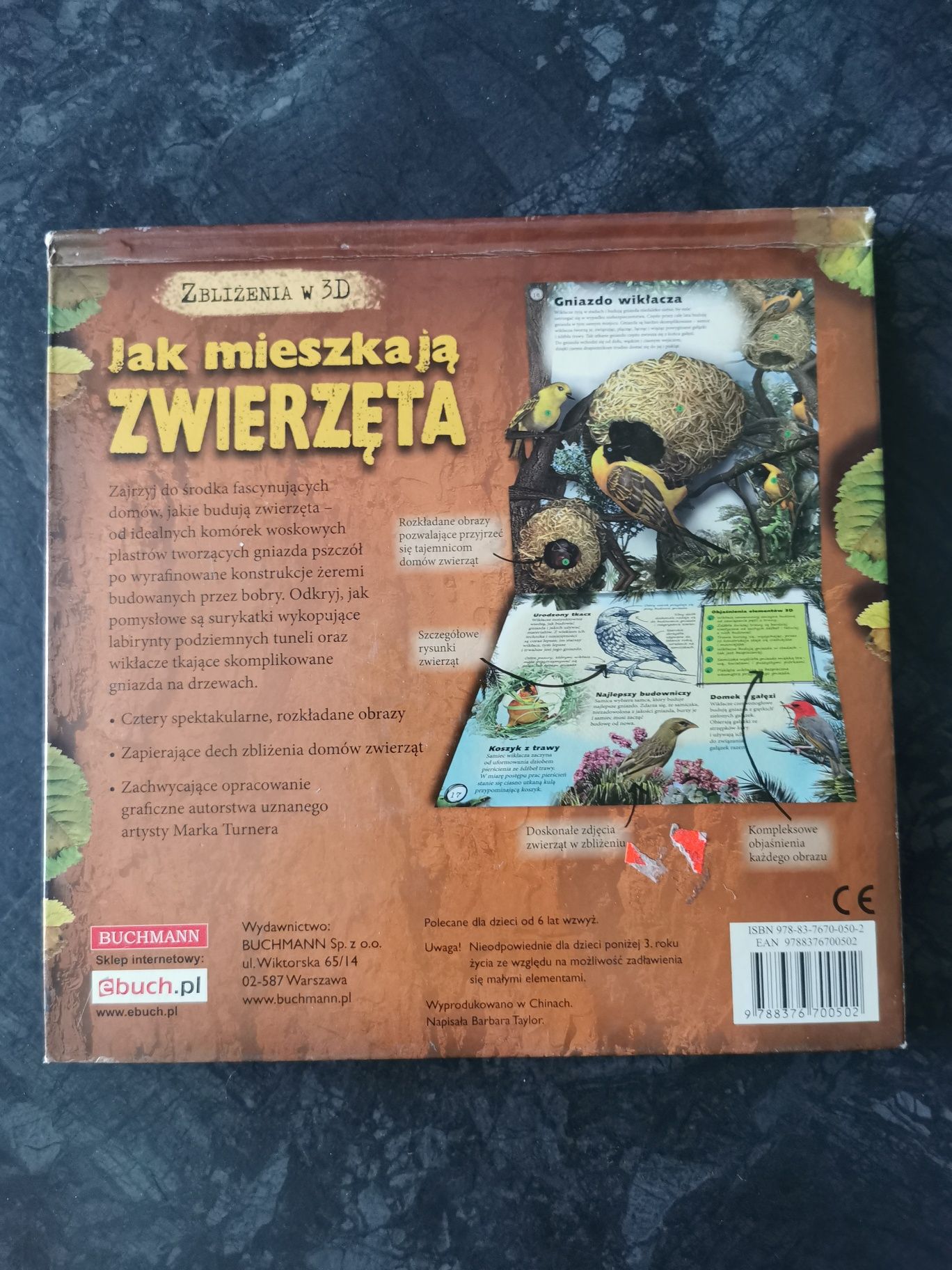 Książka jak mieszkają zwierzęta zbliżenia w 3d z okienkami