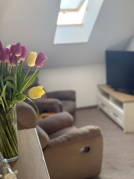 Apartamenty dla firm w centrum Inowroclawia