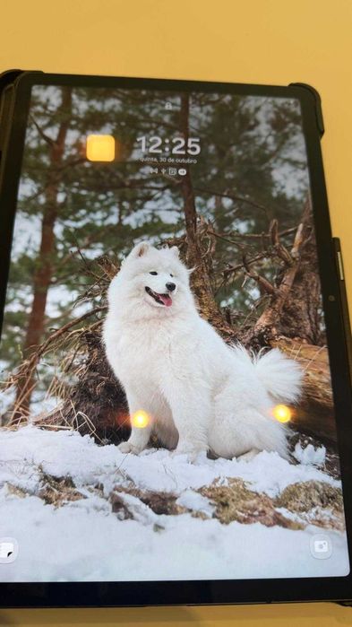 Samsung Galaxy Tab S7