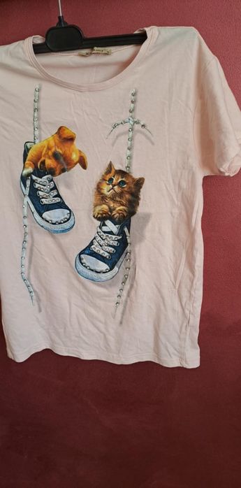 Bluzka ,T-shirt Kotki pieski stan bardzo dobry