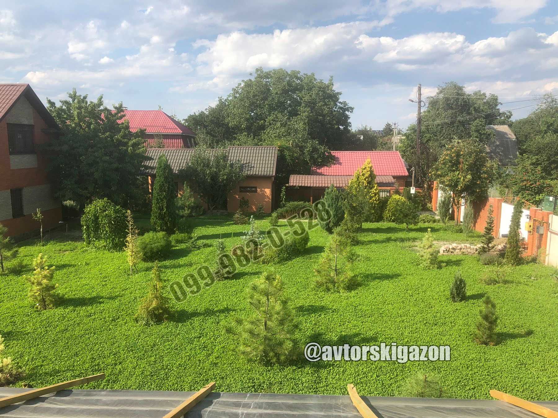Газон из белого микро клевера 1кг конюшина повзуча різні виробники