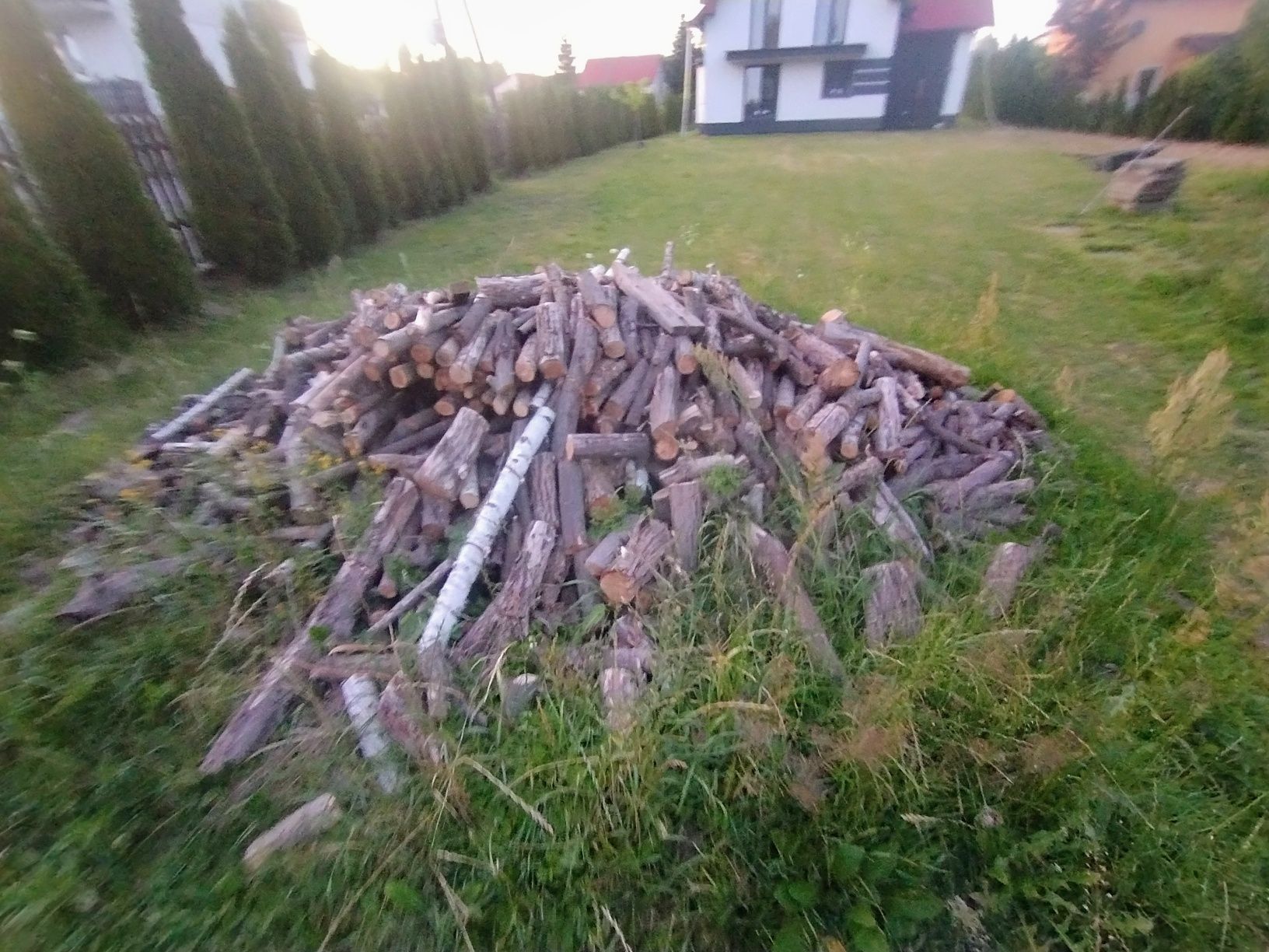 Drzewo suche opał twarde buk w kawałkach