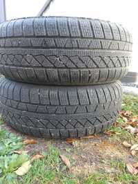 Шини зимові  Petlas Explero Winter  225/60 R17