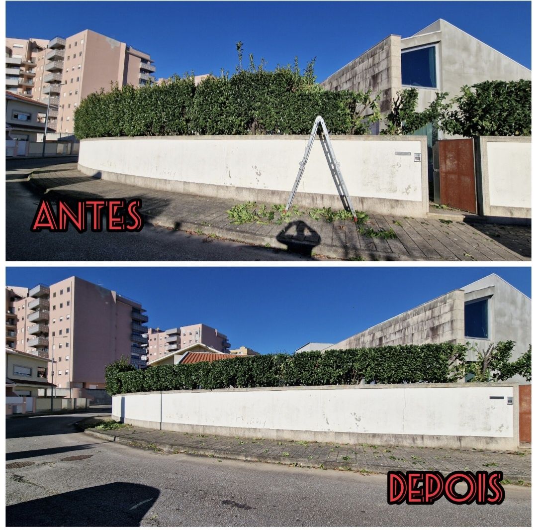 Serviços Jardinagem Ricardo Pinto