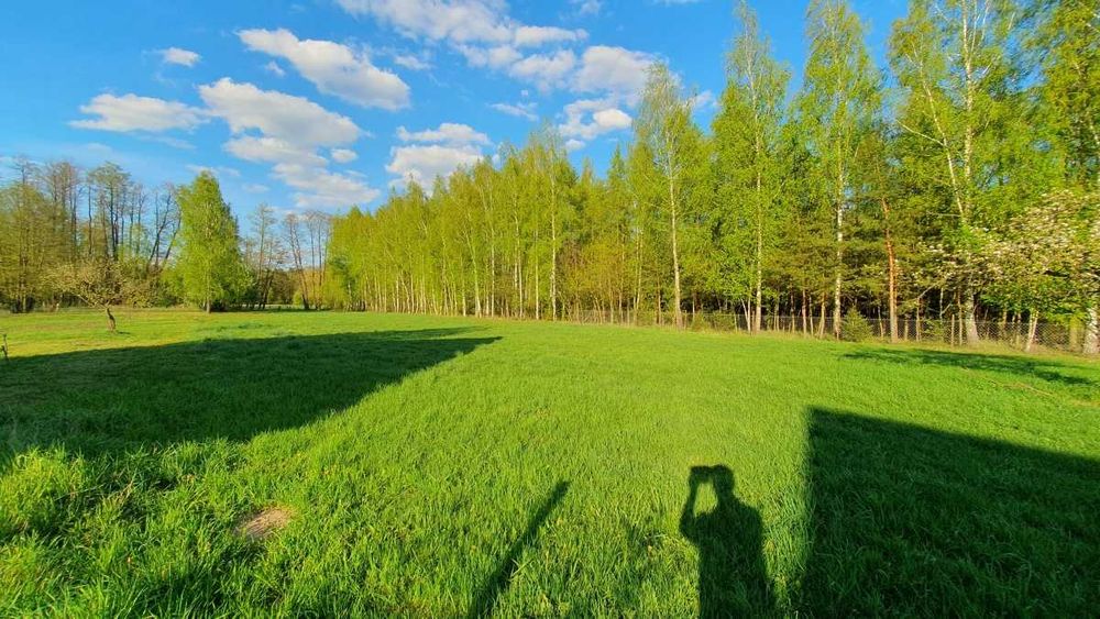 Działka siedliskowa