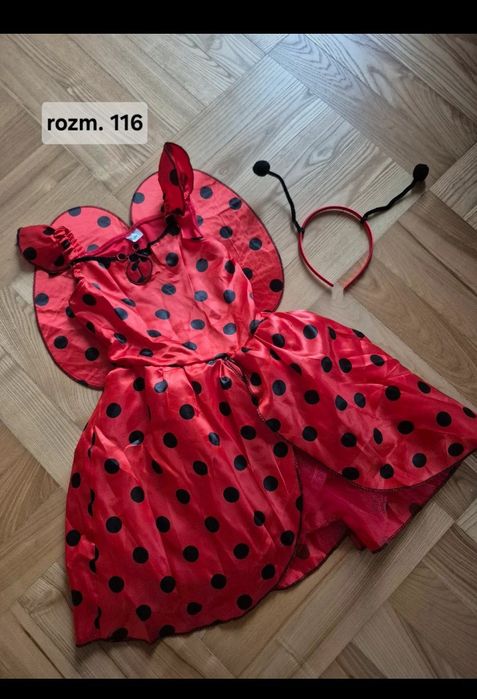 Strój karnawałowy Biedronka