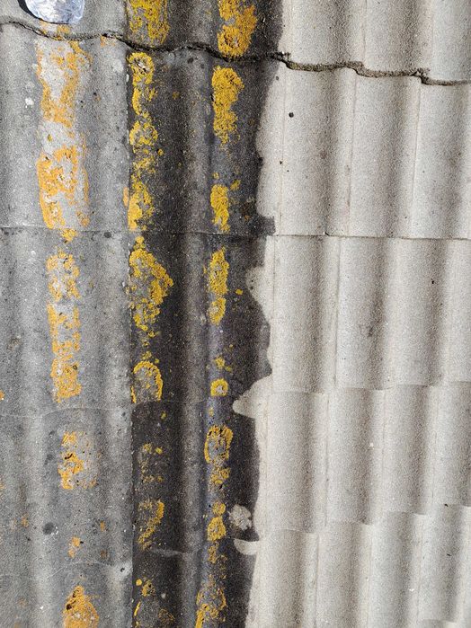 Jardineiro e limpezas extreriores