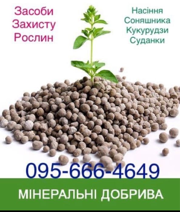 Мінеральні добрива, насіння кукурудзи, соняшника, суданки