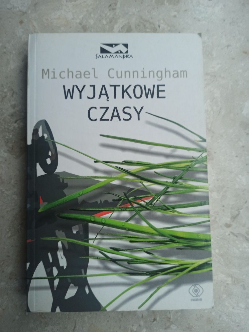 Wyjątkowe czasy Michael Cunningham