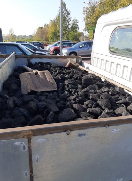 Węgiel orzech Polski