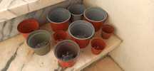 24 vasos de plástico