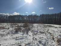 БЕЛОГОРОДКА!Продажа Участка 37.5 соток! Газ и Свет на Участке!