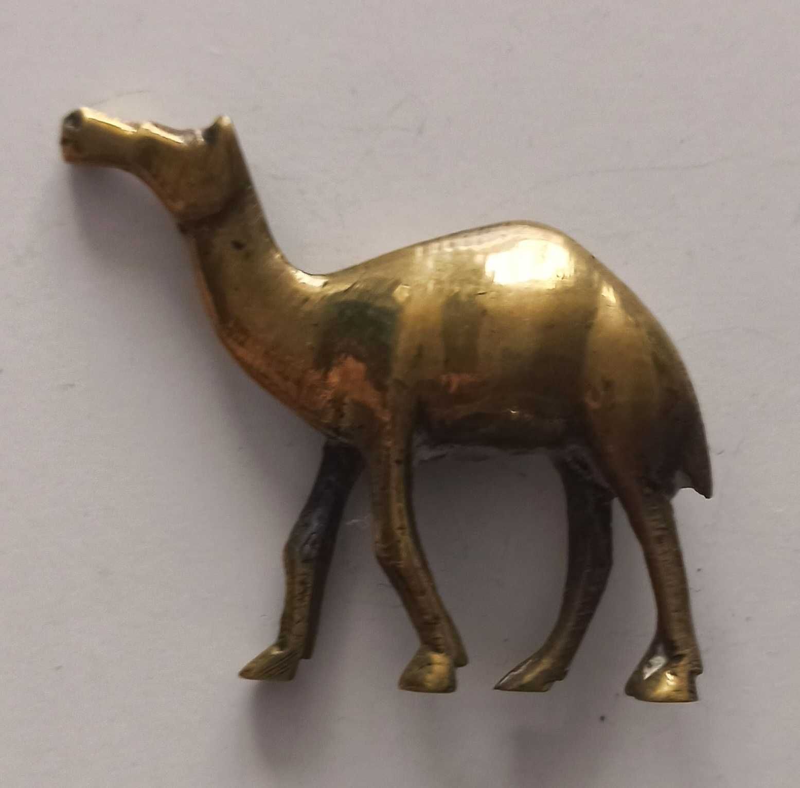 wielbłąd – stara figurka mosiądz gładki 6,5 cm