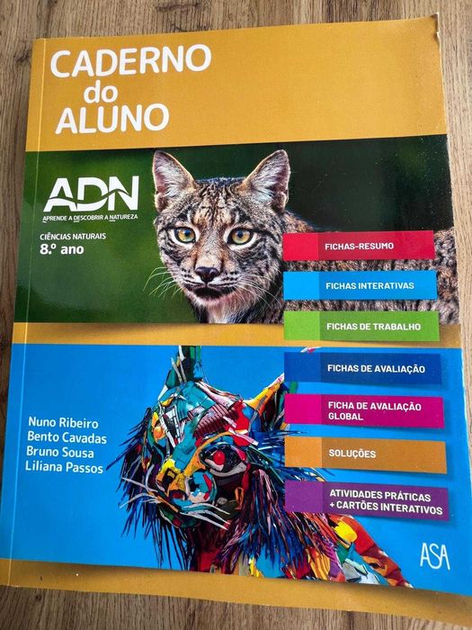 Livros Escolares - Preparar Testes e Exames - 6º ano ao 9º ano