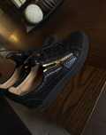 giuseppe zanotti