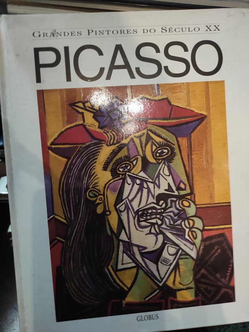 Picasso grandes pintores do século XX