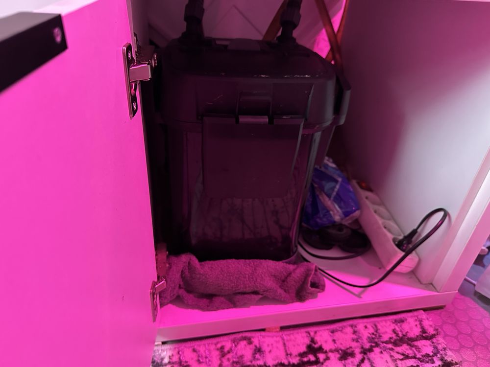 Akwarium 500 l z calym wyposażeniem