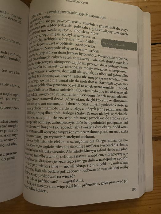 Ksiazka lektura - W pustyni i w puszczy
