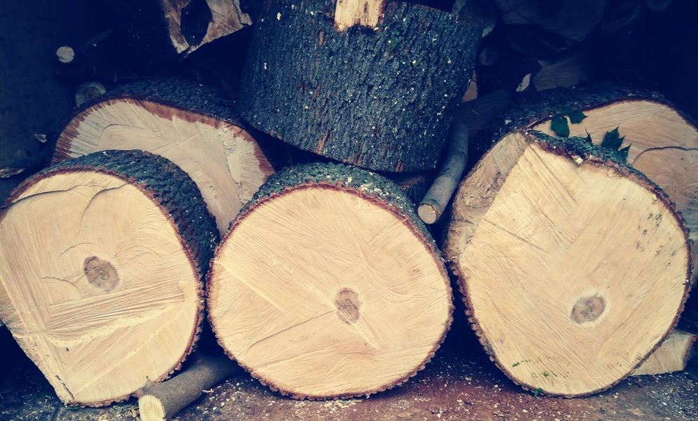 Дрова твёрдые и мягкие сорта.