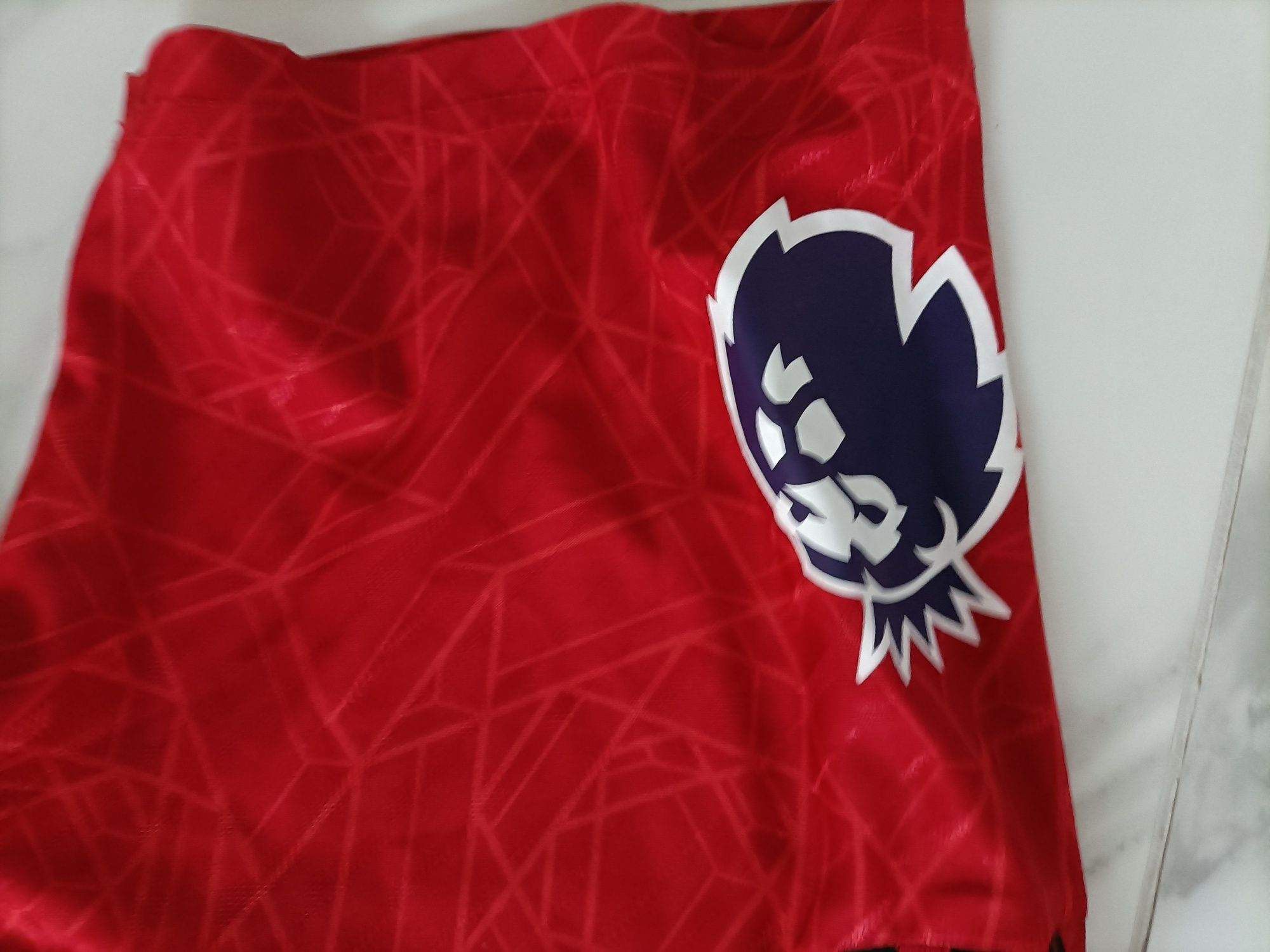 Koszulka piłkarska meska adidas