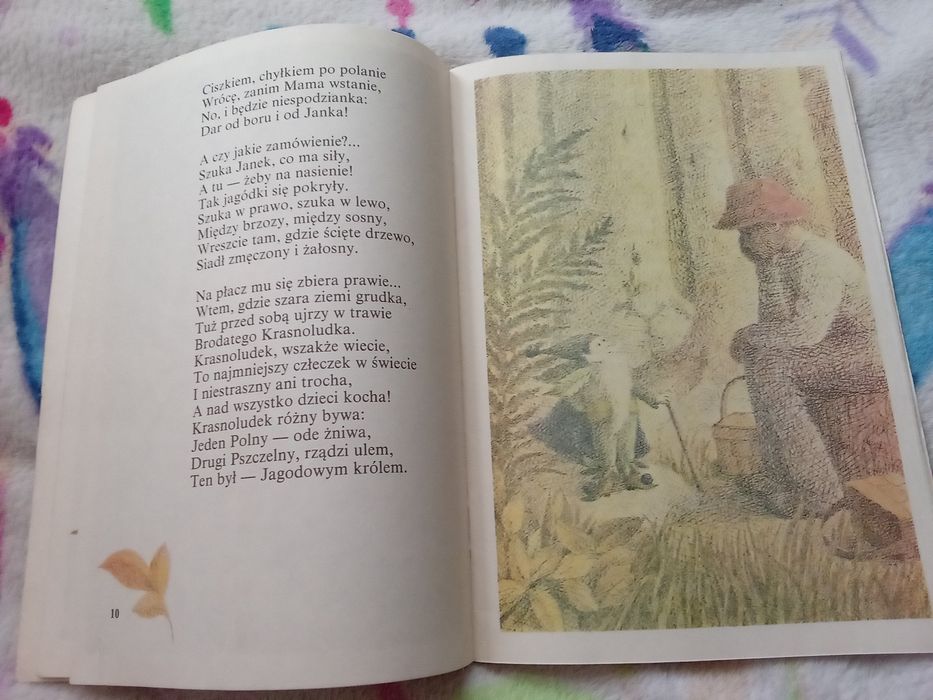 Na jagody. Maria Konopnicka