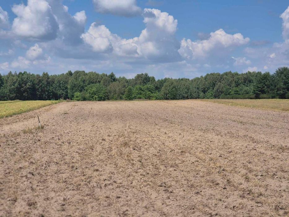 Działka 8,56 ara Białka Parczewska