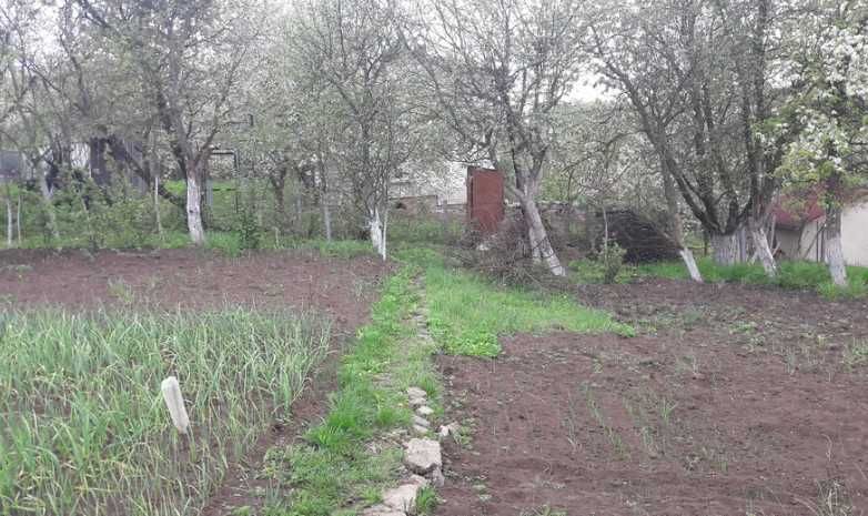 Будинок в Мацьківцях