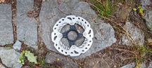 Tarcza Shimano 140mm