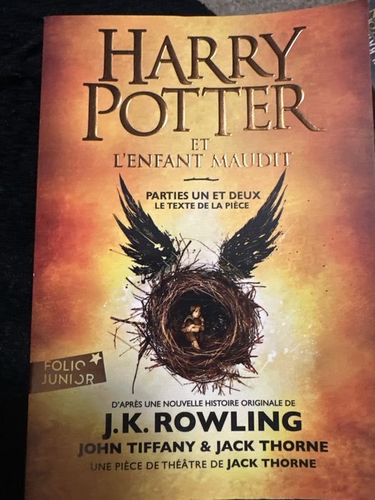 Livro harry potter et l’enfant maudit