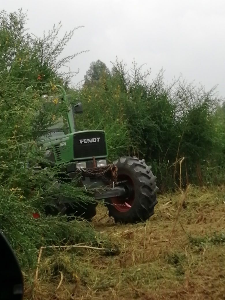 Limpeza terrenos