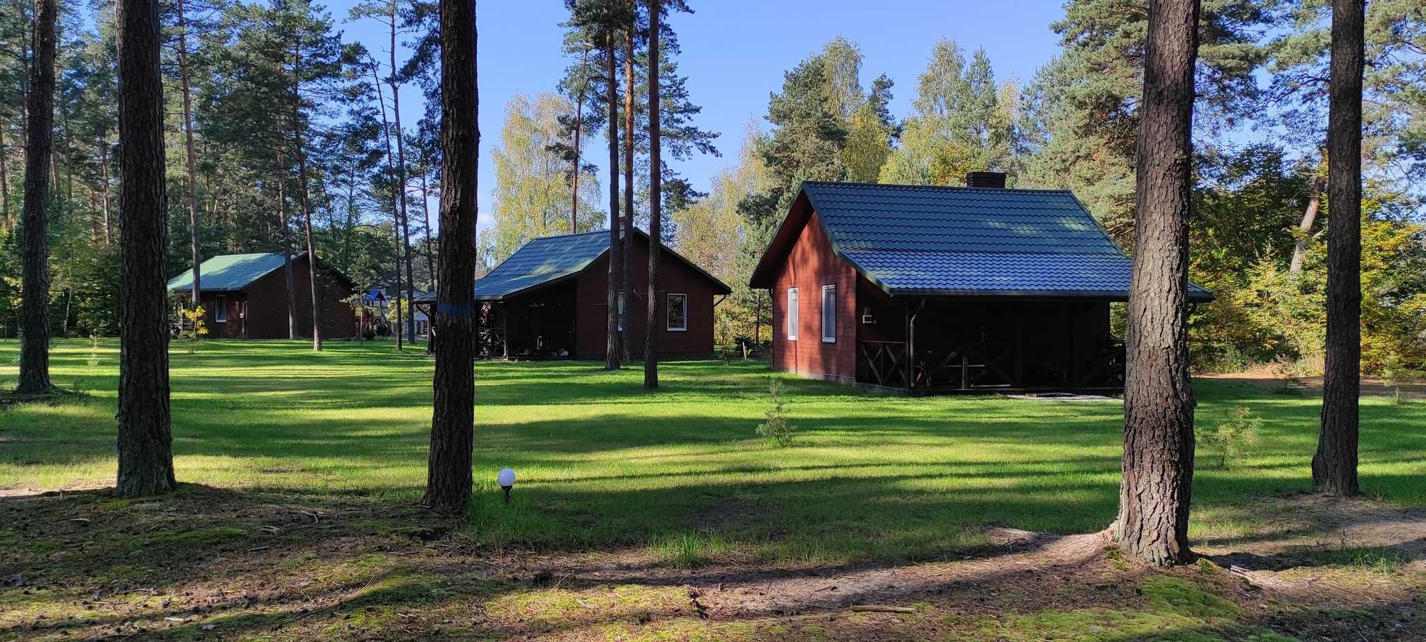 Domki Nad Tanwią na Roztoczu.