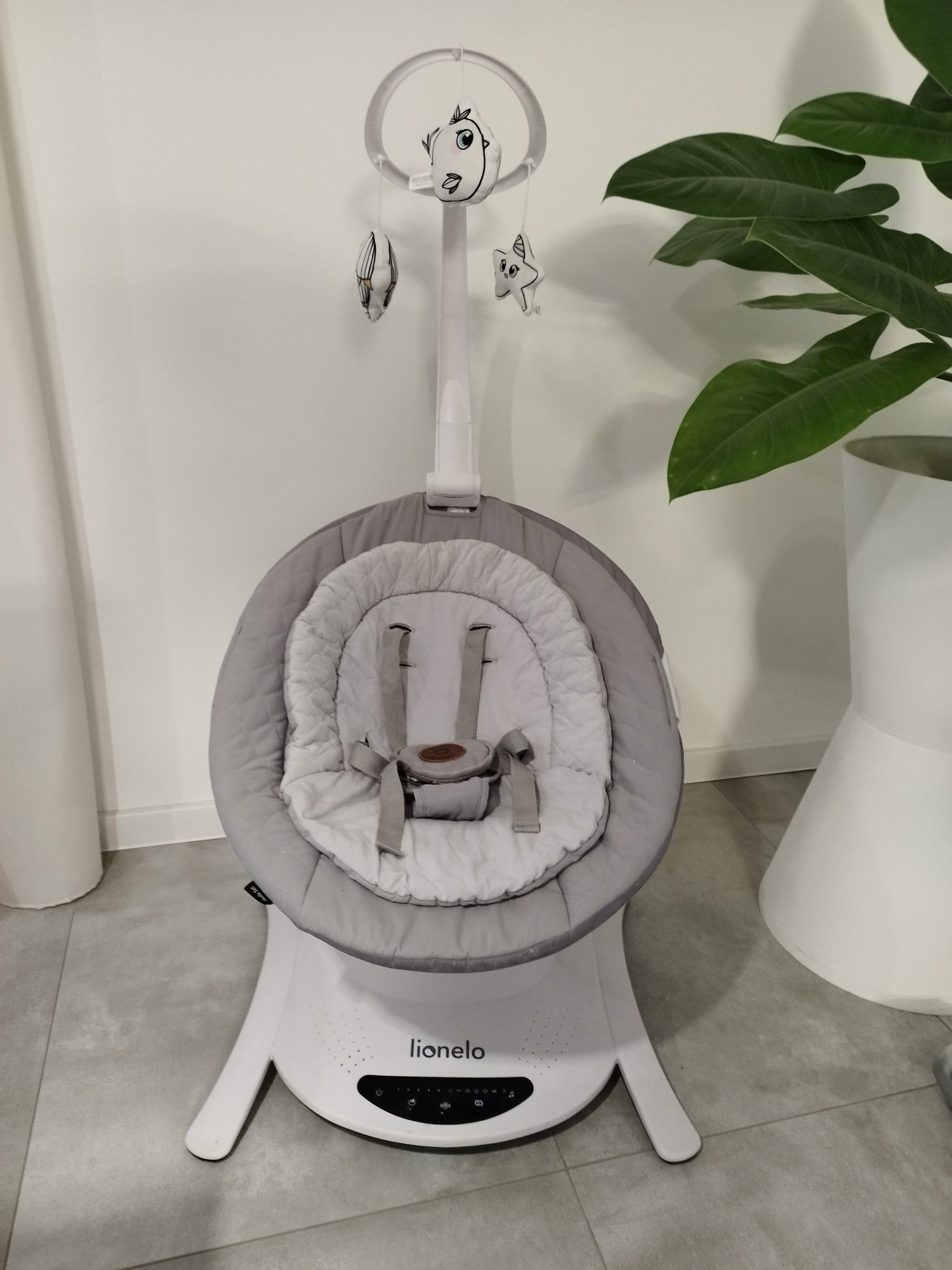 Bujak Lionelo Bella set