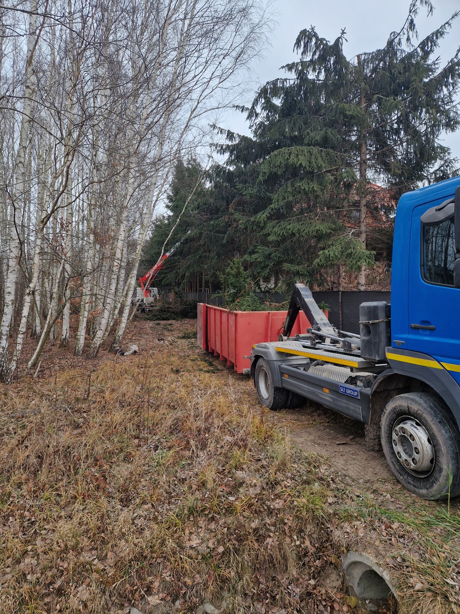 Wynajem kontenerów na gruz piach karpy Gałęzie
