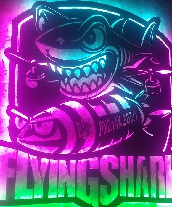 3D Шеврон FlyingShark, Прапор з Подякою і підписами, LED панель.