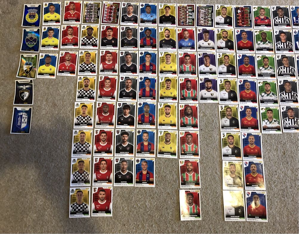 Cromos panini 2013/2024