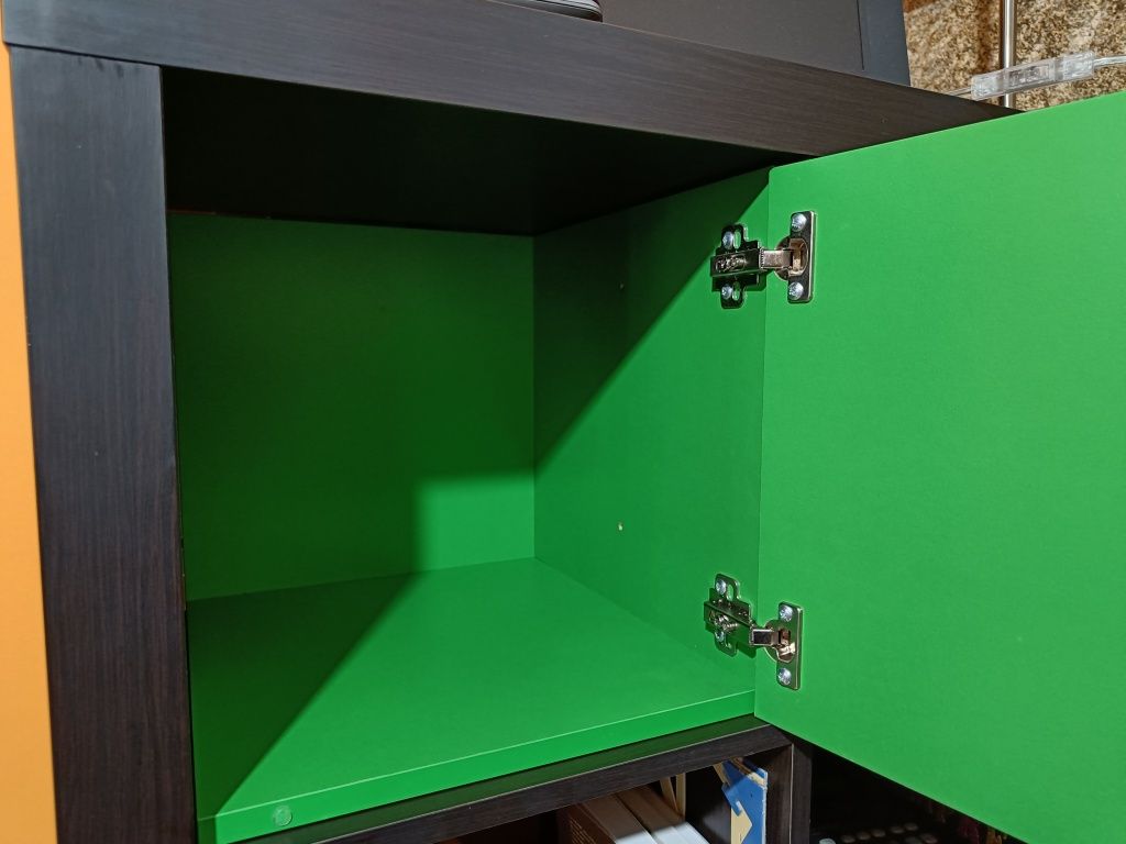 Módulo com porta para armário IKEA Expedit verde