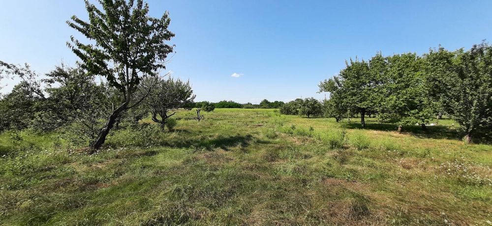 Продам участок 25 соток, с. Песчанка