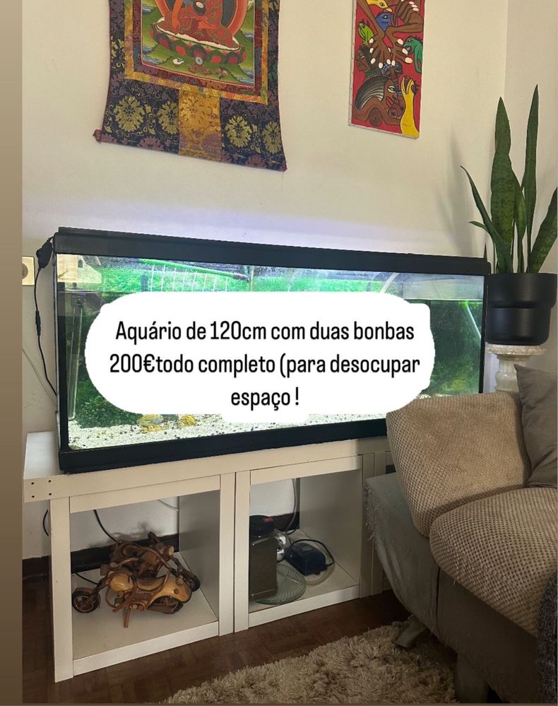 Vende se aquario com varias bombas e todo o material
