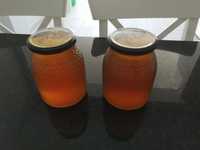 Mel/honey biologico da serra algarvia
