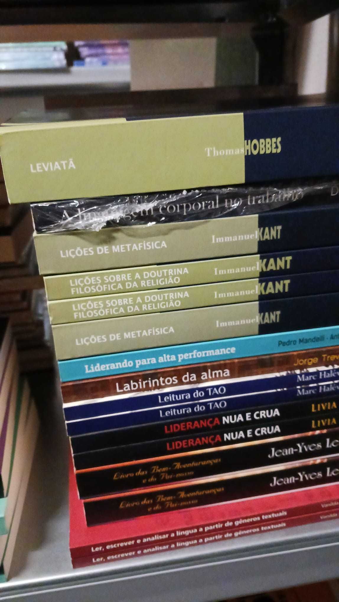 Editora Vozes - Lote 1