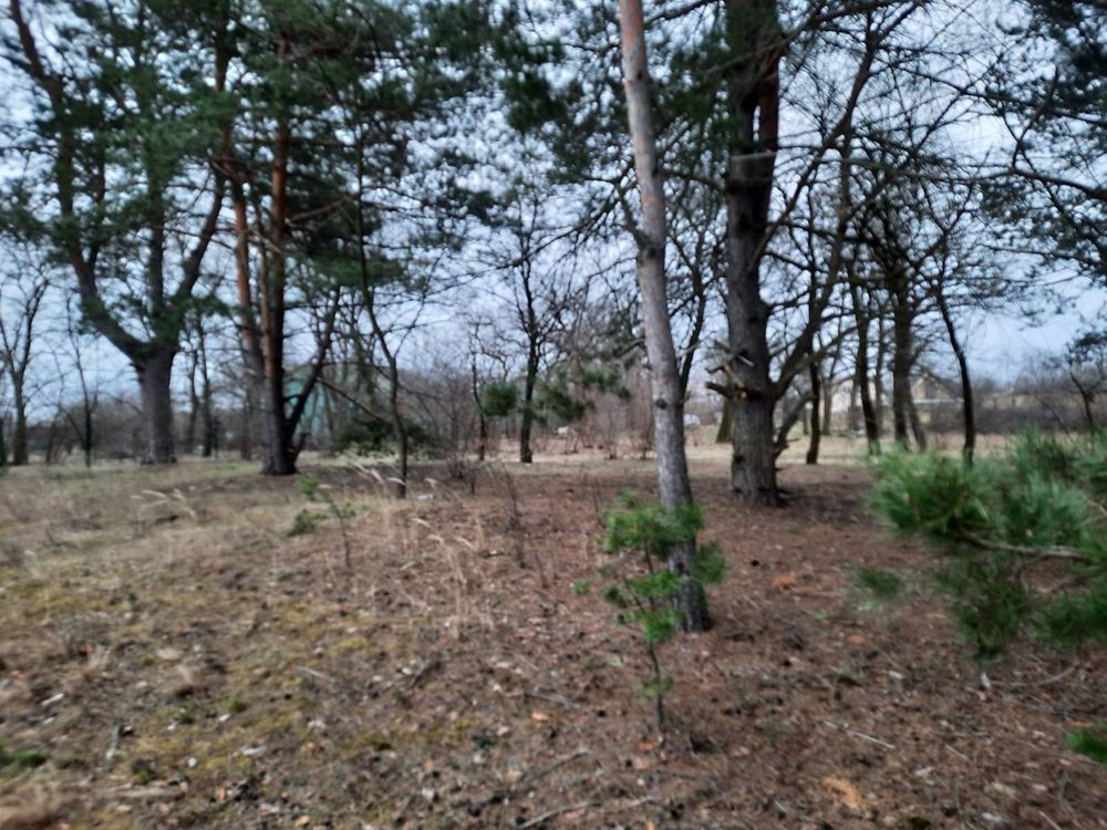 Продаж земельної ділянки в селі Нижча дубечня