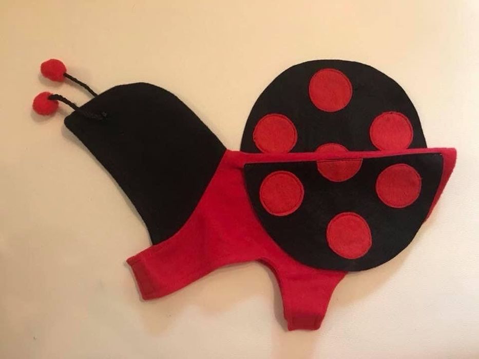 Dwa kostiumy - biedronka i pszczółka - dla małego psa (rozm. S)