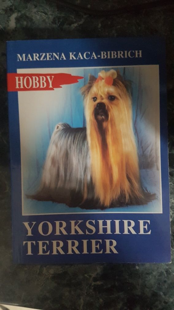 Yorkshire terier  poradnik