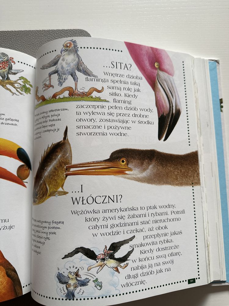 Encyklopedia Zwierzat