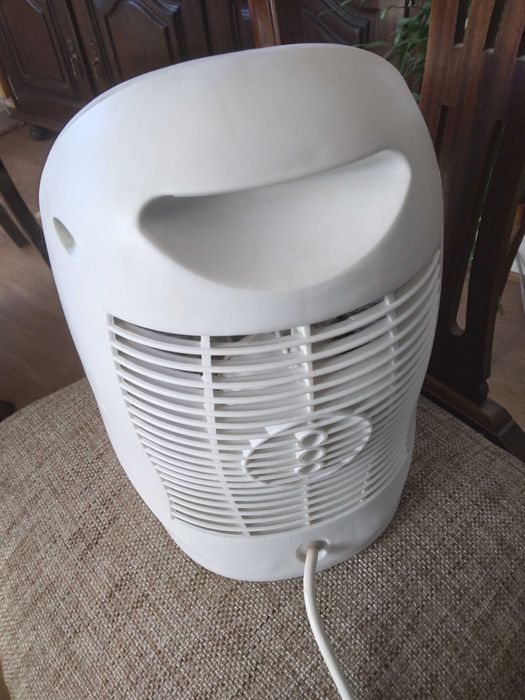 Termoventilador/ventoinha